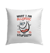 Outdoor Pillow - Beyond T-shirts